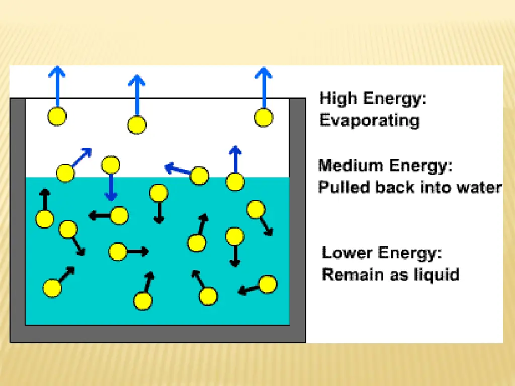 slide24