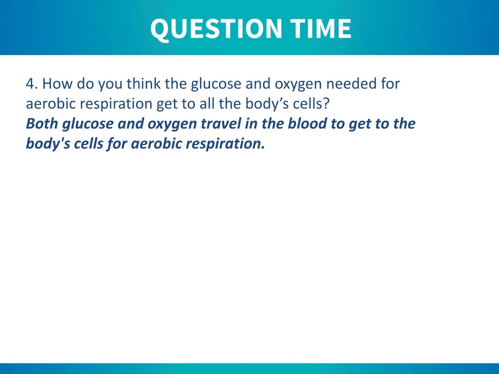 4 how do you think the glucose and oxygen needed