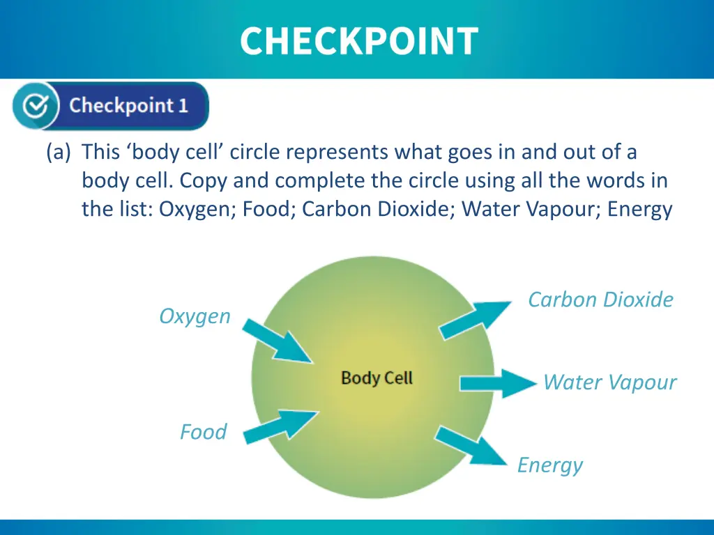 a this body cell circle represents what goes