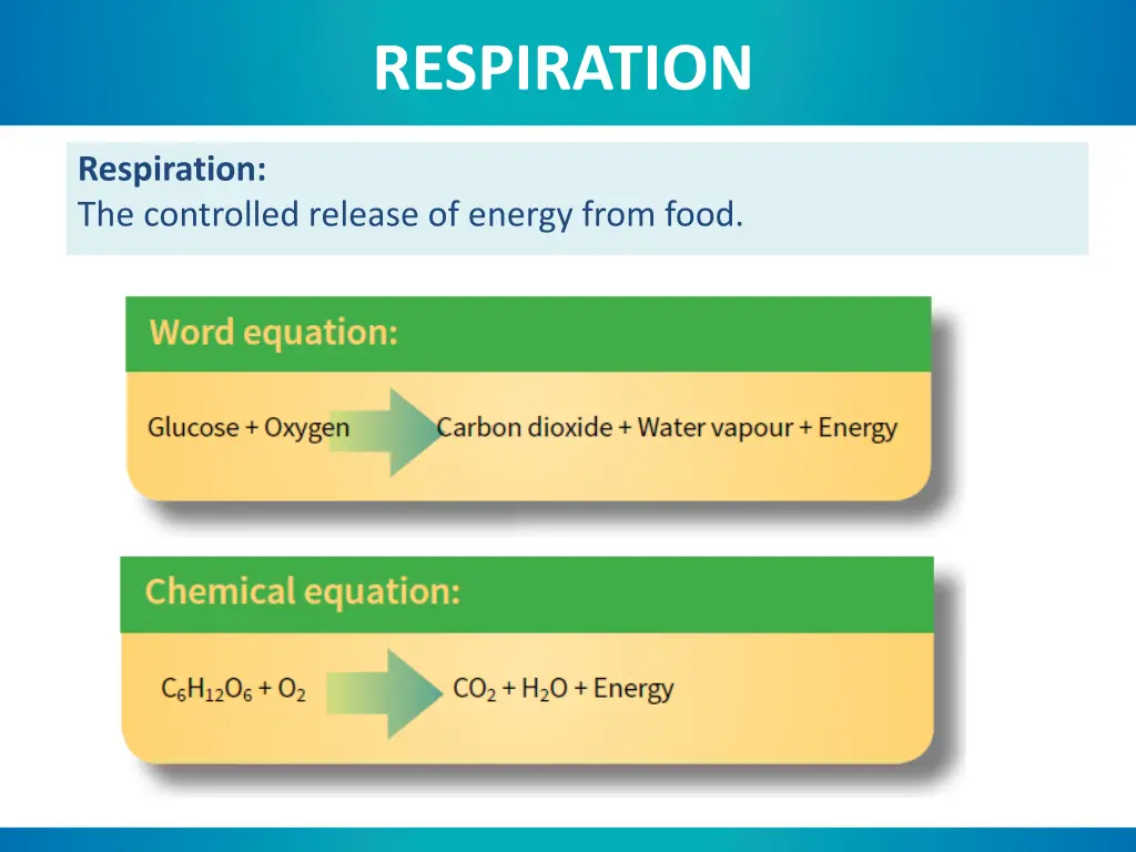 respiration