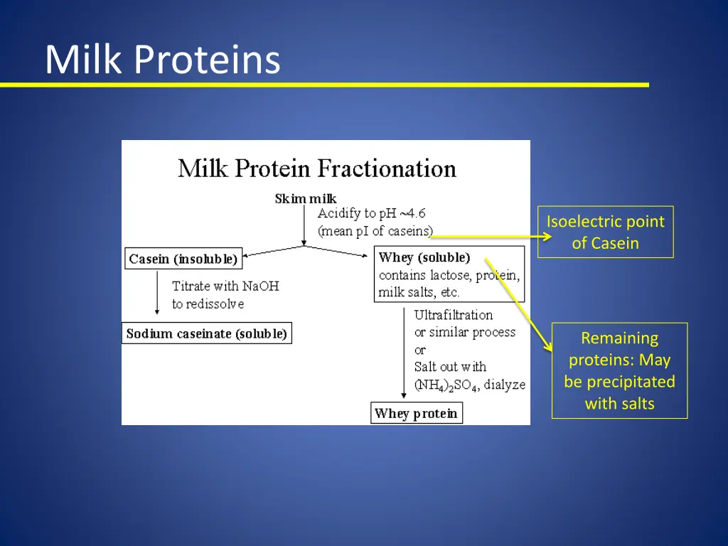 milk proteins 1