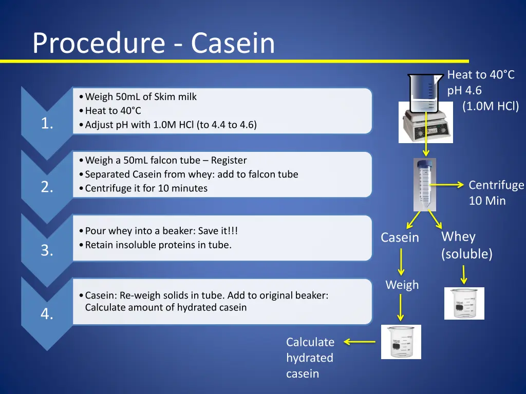 procedure casein