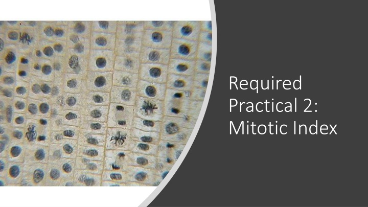 required practical 2 mitotic index