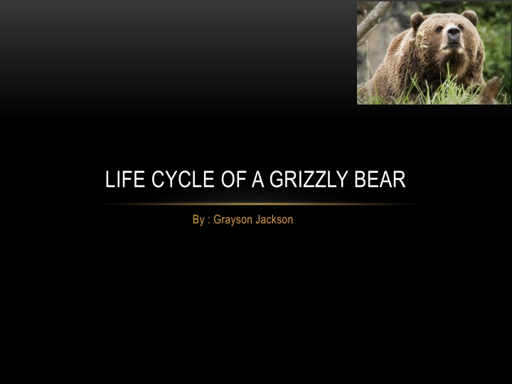 life cycle of a grizzly bear