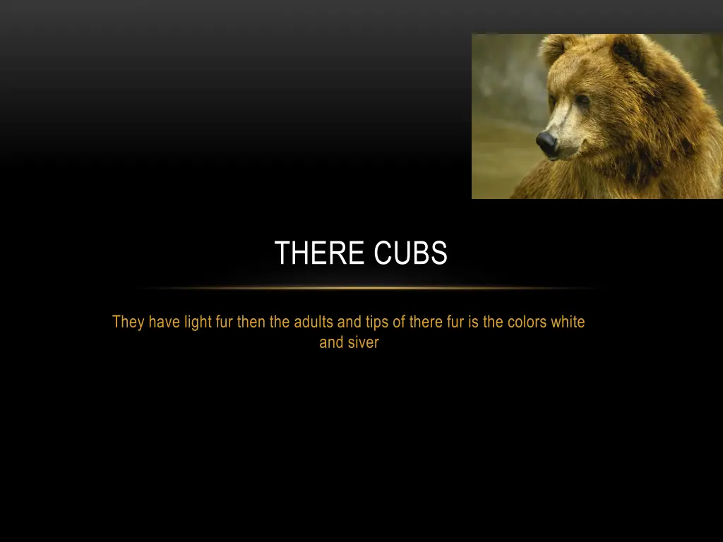 there cubs