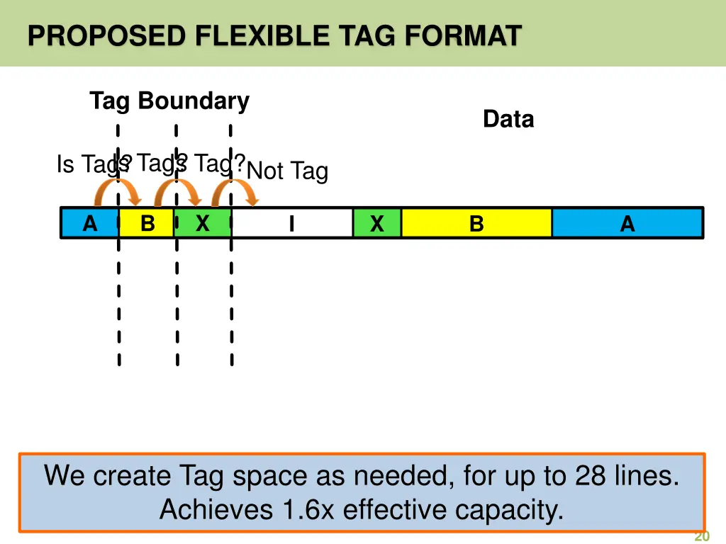 proposed flexible tag format