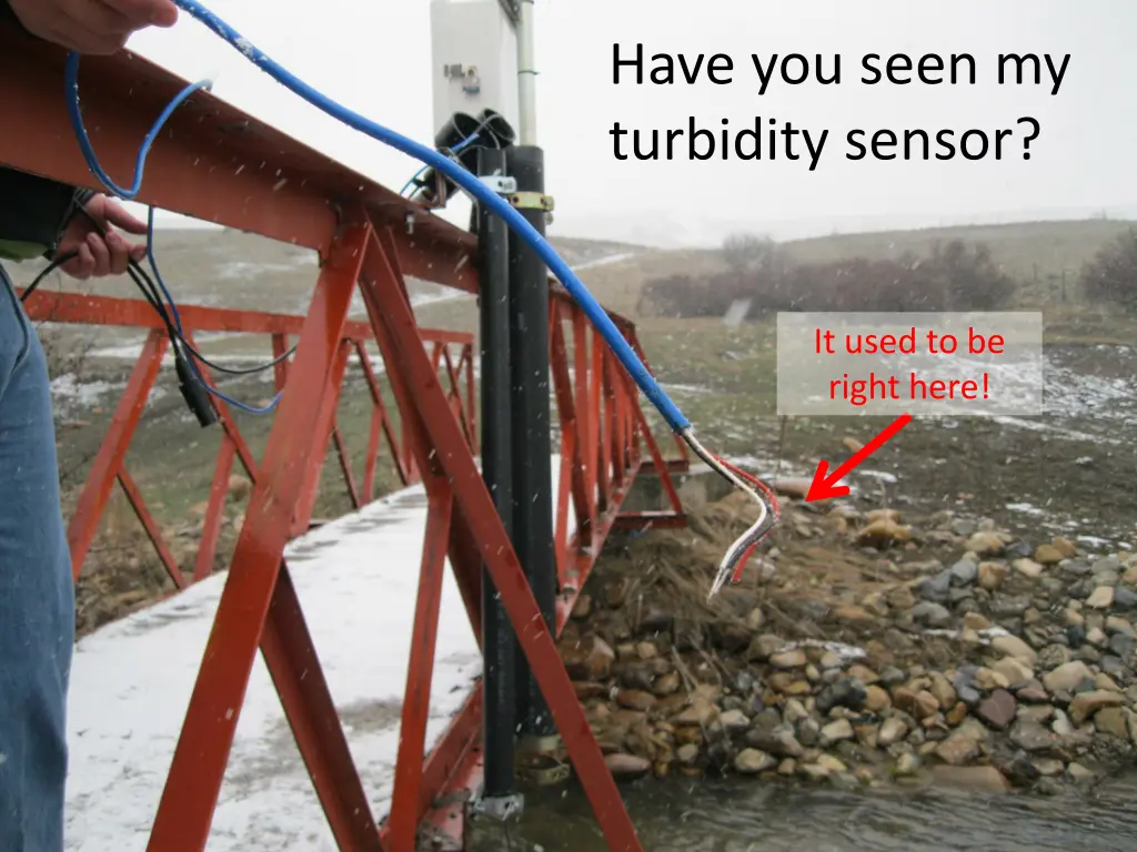 have you seen my turbidity sensor