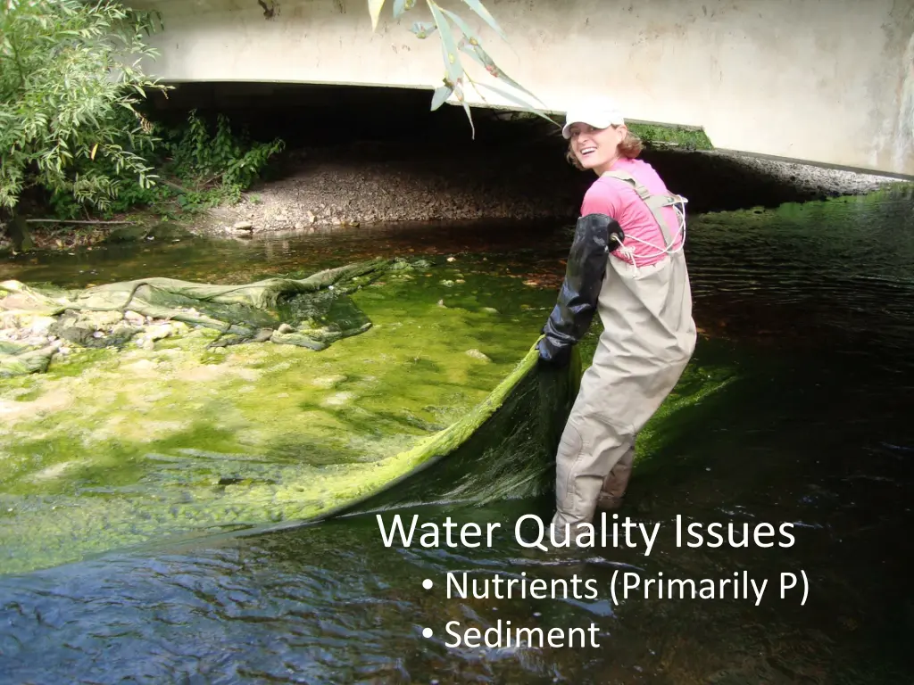 water quality issues nutrients primarily