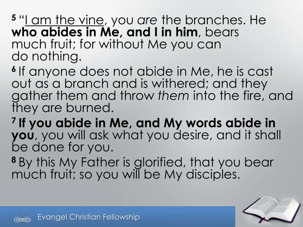 5 i am the vine you are the branches