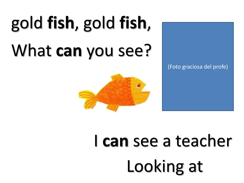 gold fish gold fish