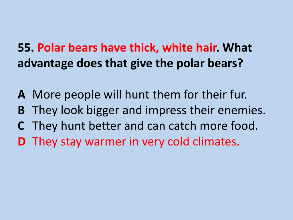 55 polar bears have thick white hair what 1