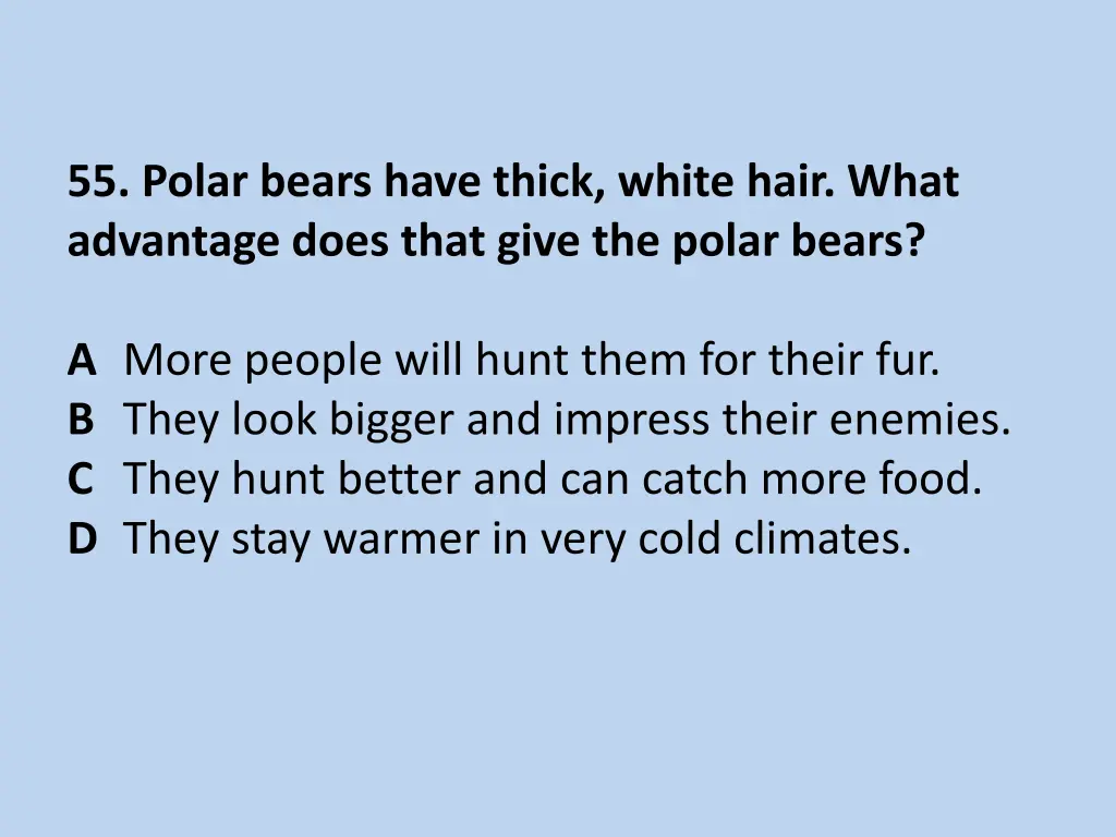 55 polar bears have thick white hair what