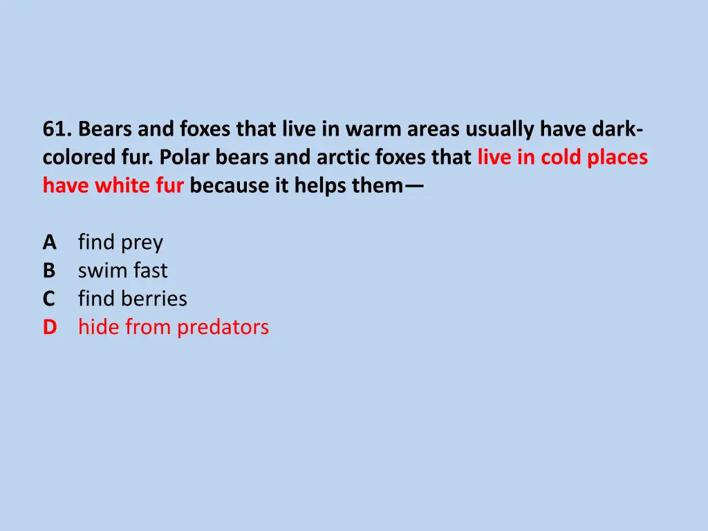 61 bears and foxes that live in warm areas 1