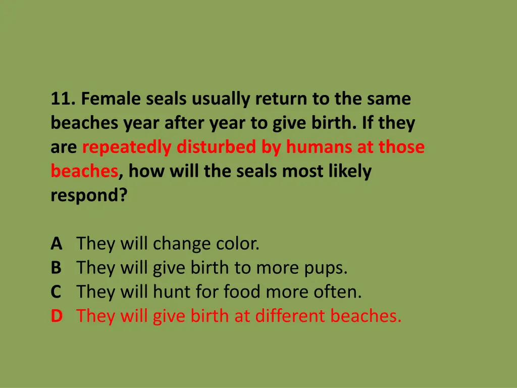 11 female seals usually return to the same 1