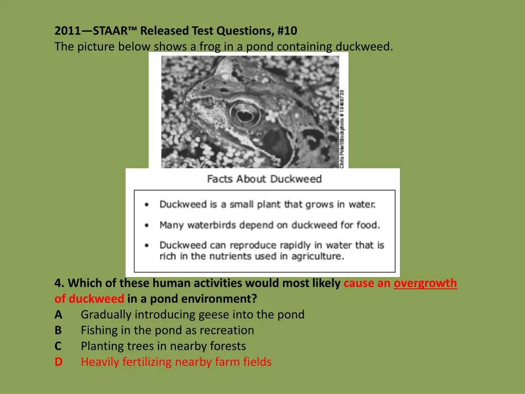 2011 staar released test questions 10 the picture 1