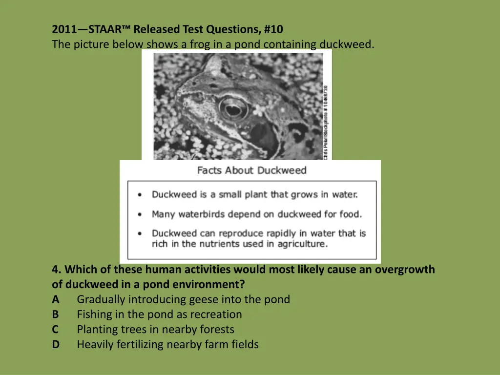 2011 staar released test questions 10 the picture