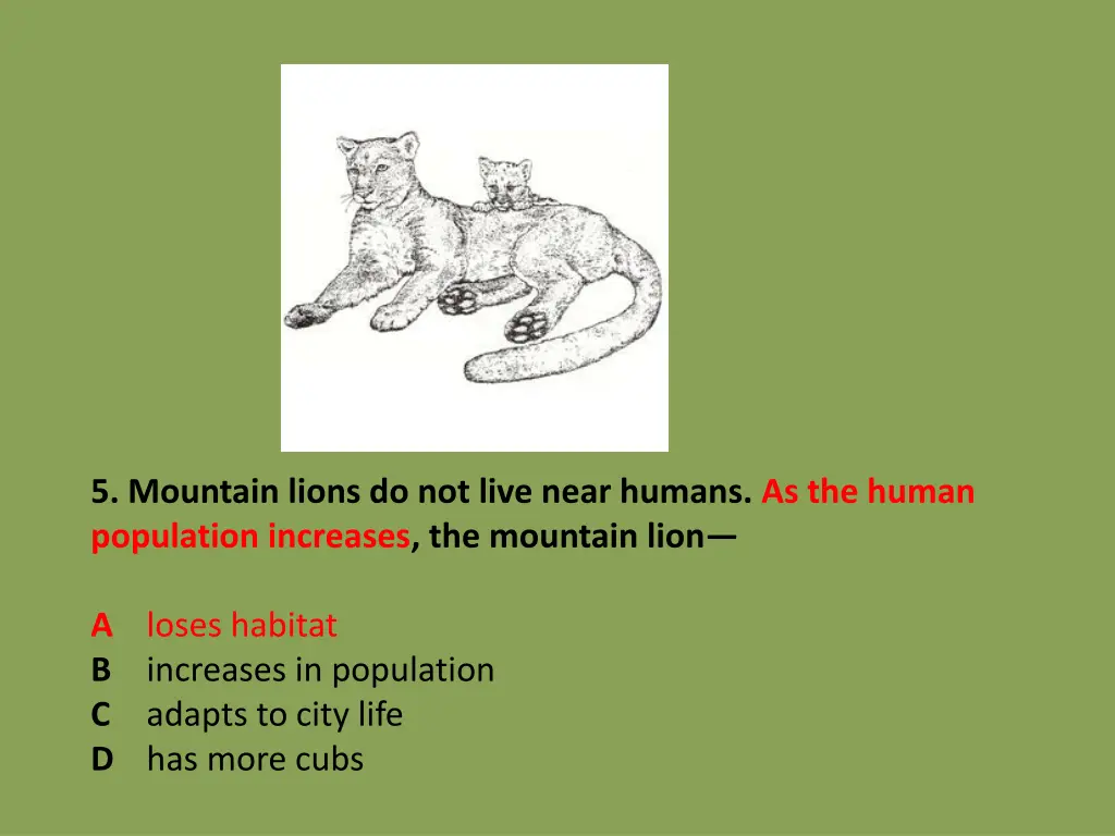 5 mountain lions do not live near humans 1