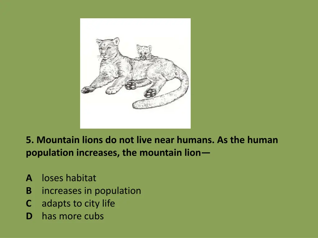 5 mountain lions do not live near humans