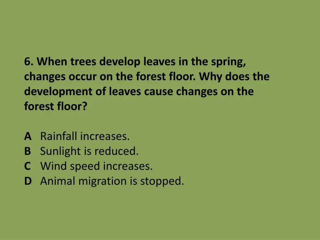 6 when trees develop leaves in the spring changes