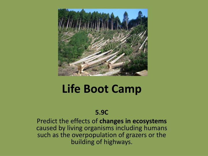 life boot camp