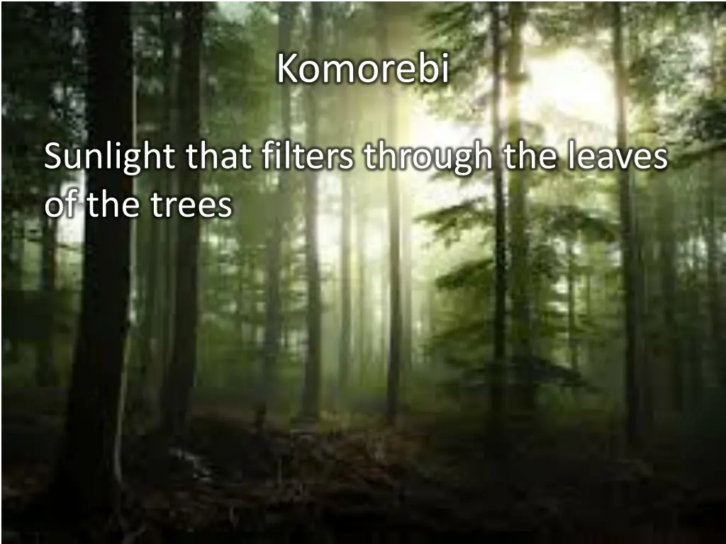 komorebi