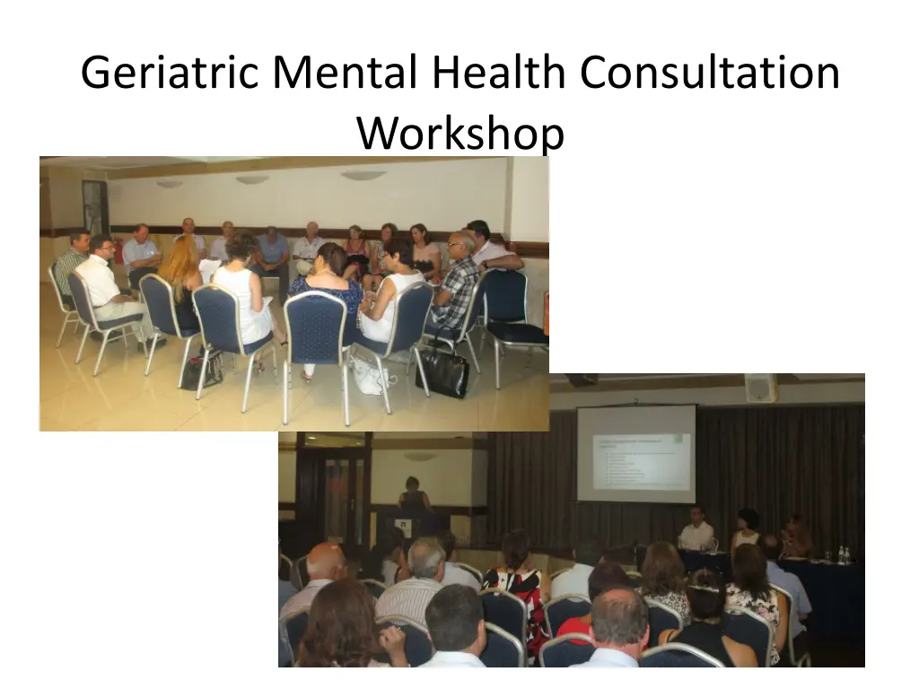 geriatric mental health consultation workshop