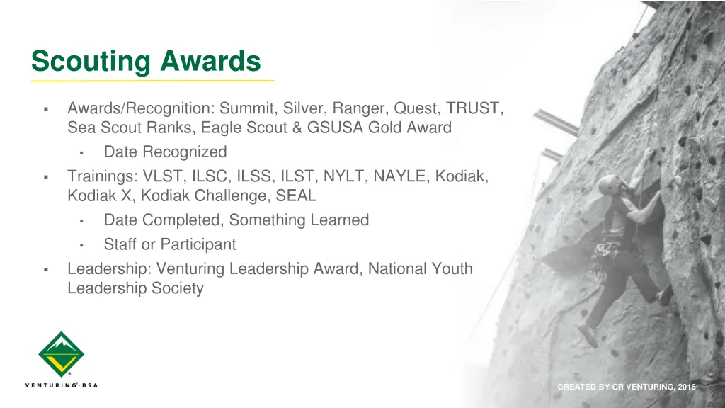 scouting awards