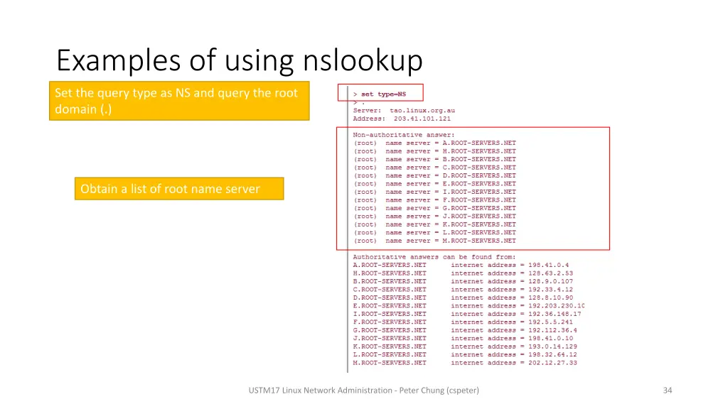 examples of using nslookup