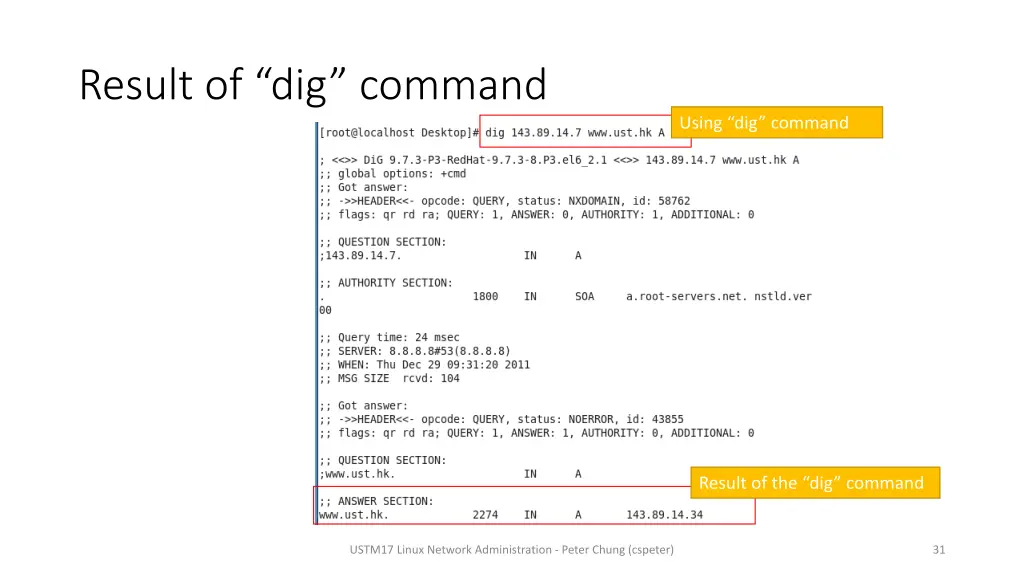 result of dig command