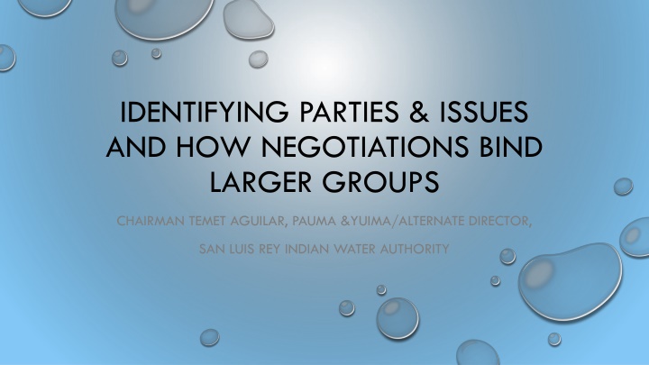 identifying parties issues and how negotiations