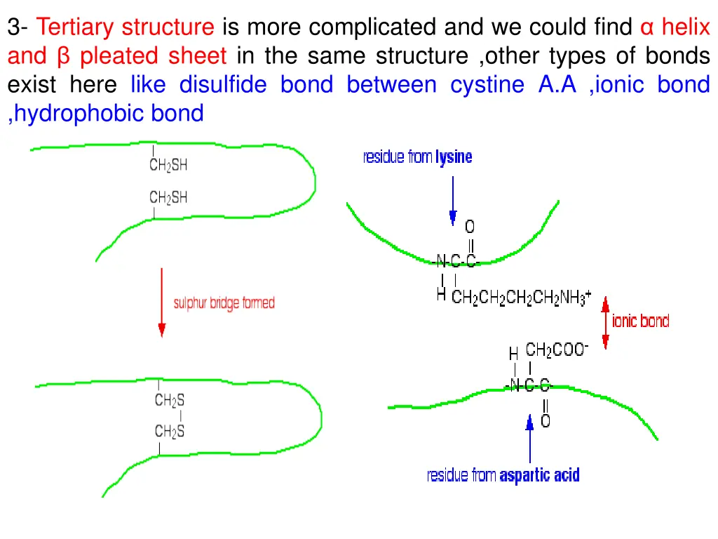 3 tertiary structure is more complicated