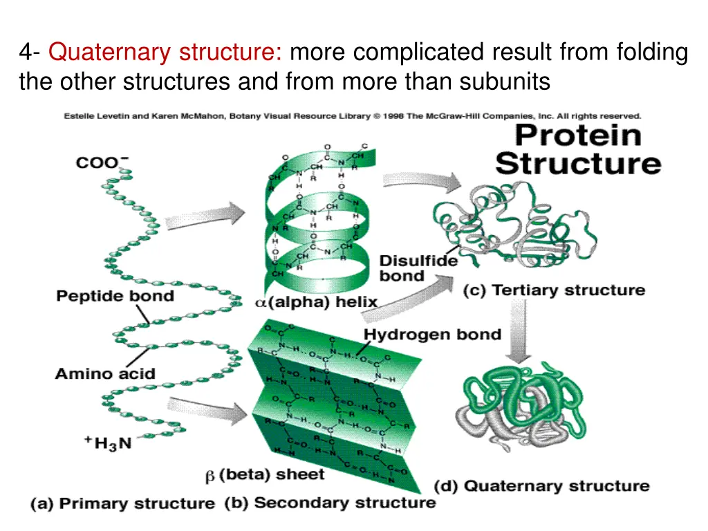 4 quaternary structure more complicated result