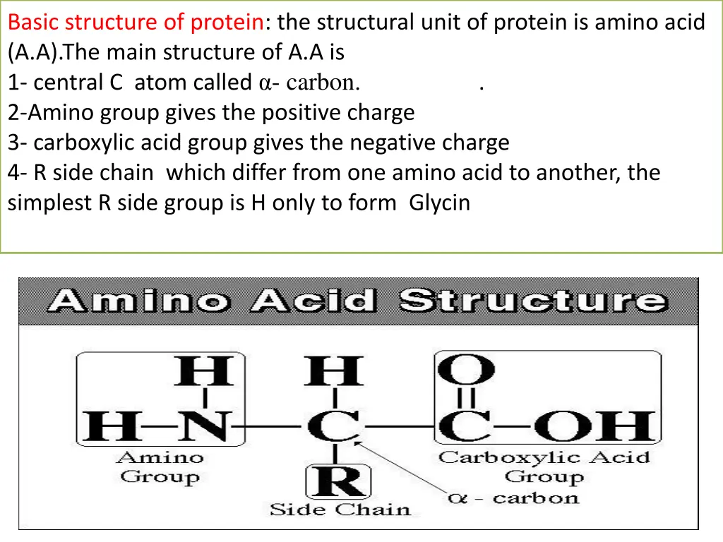 basic structure of protein the structural unit