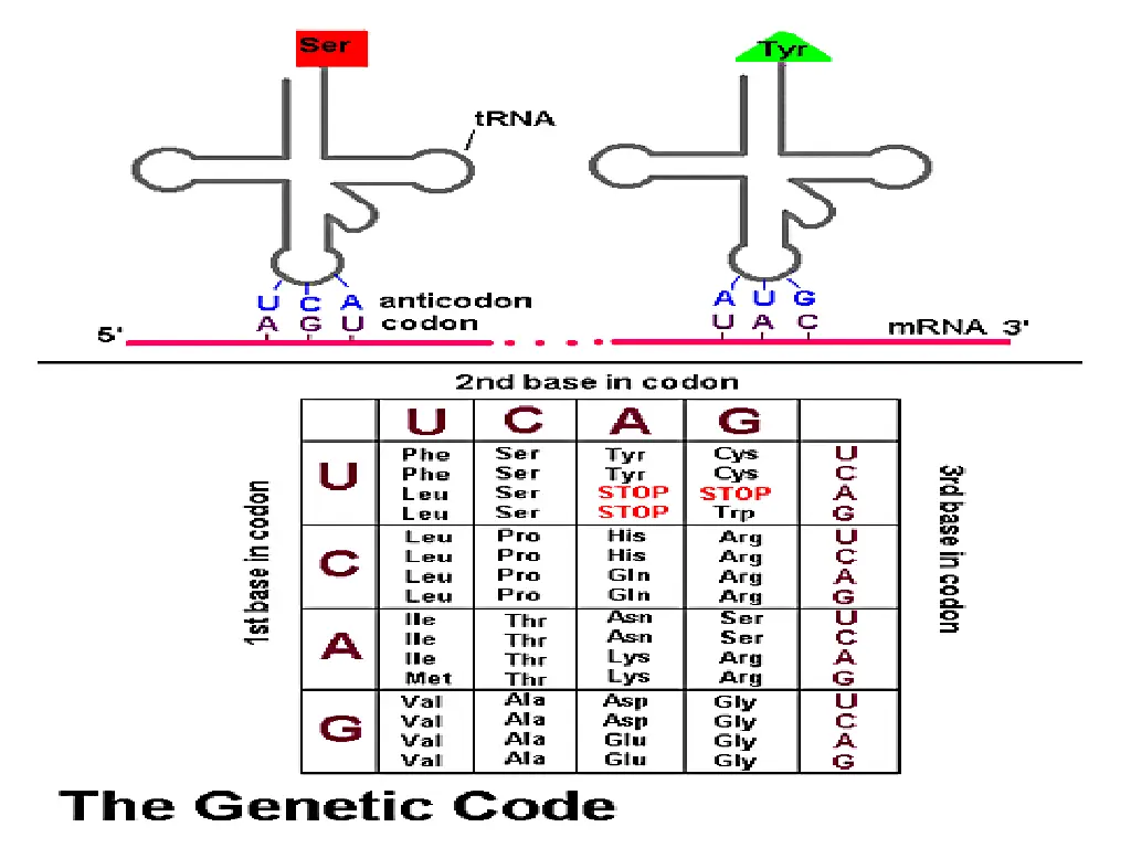 slide11