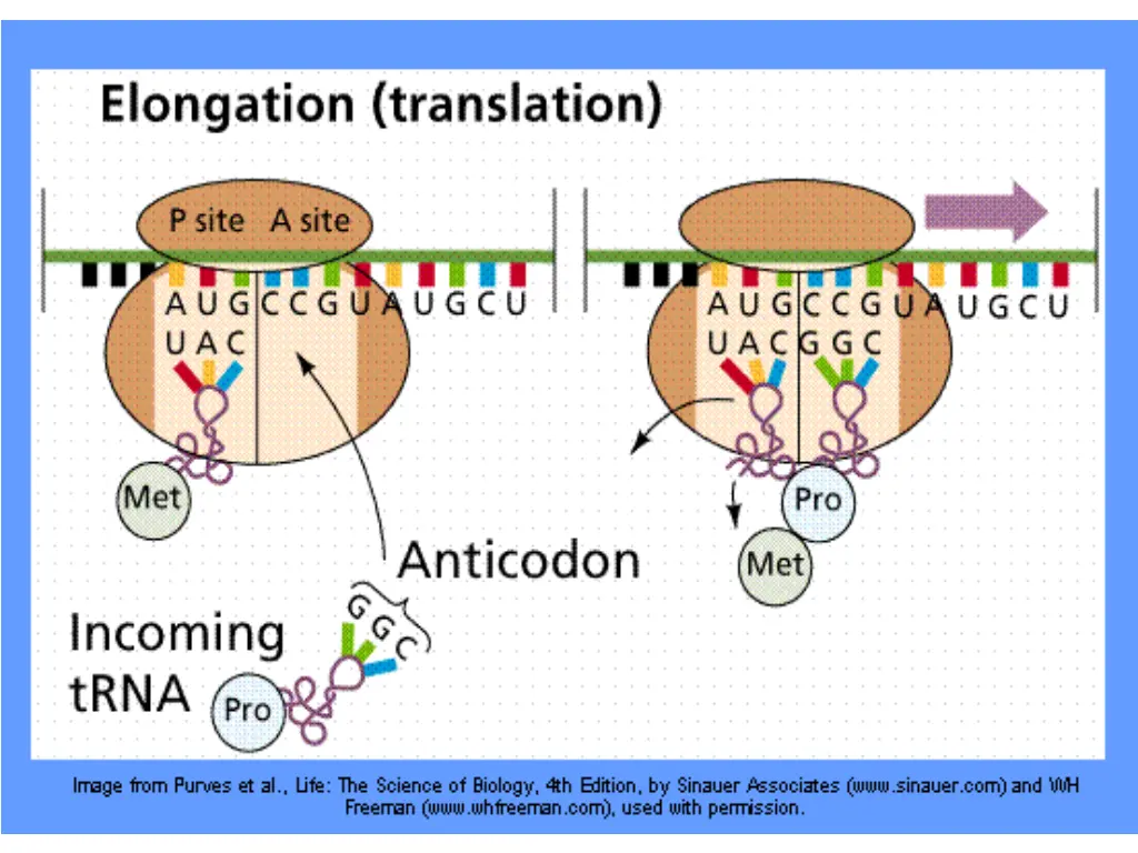 slide14