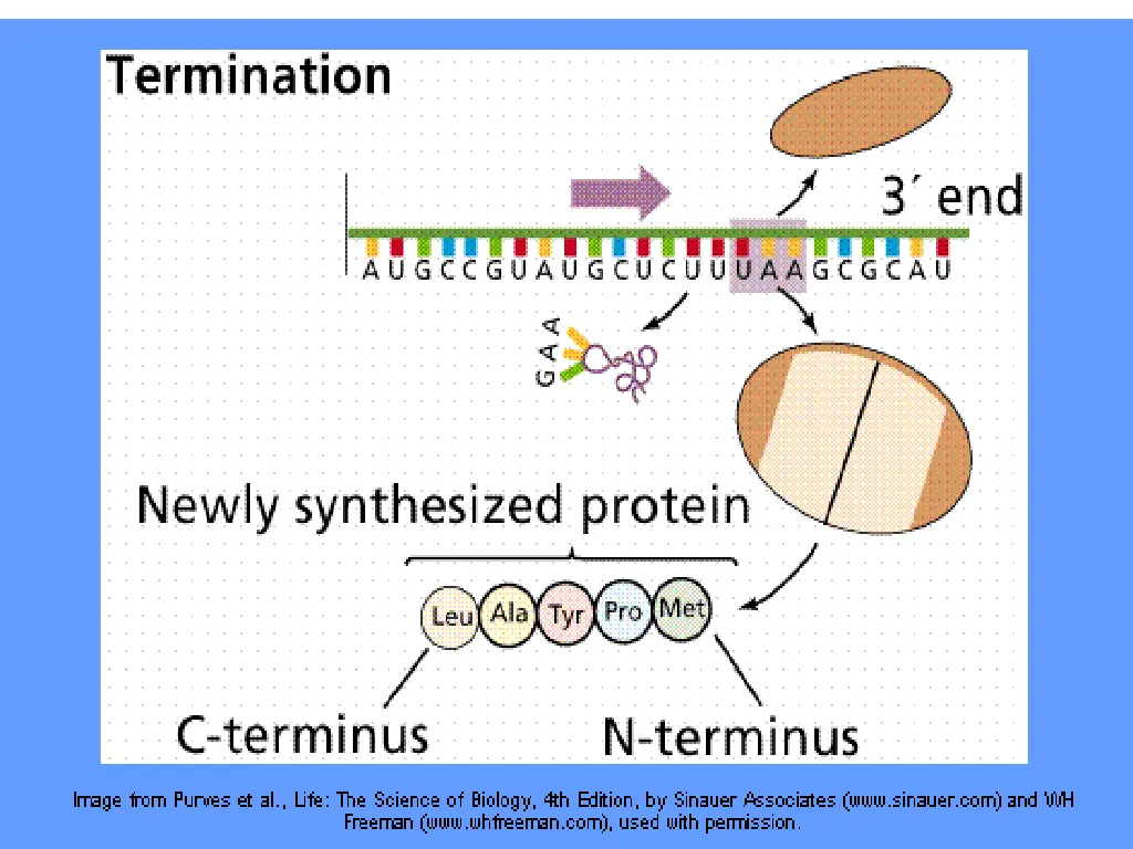 slide17