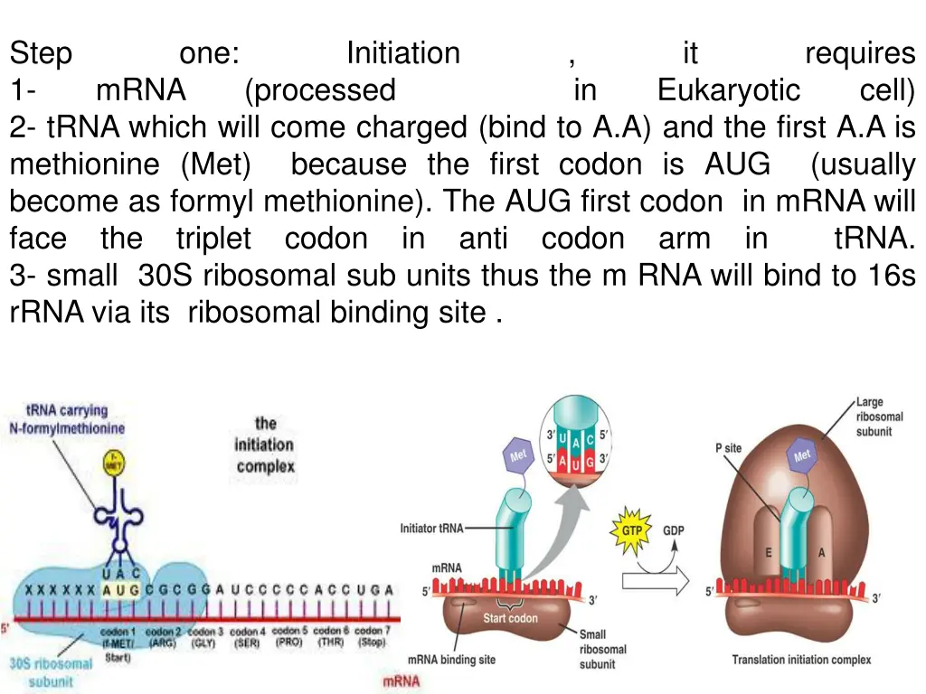 step 1 2 trna which will come charged bind