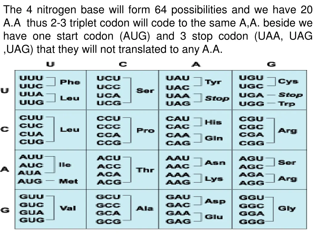 the 4 nitrogen base will form 64 possibilities