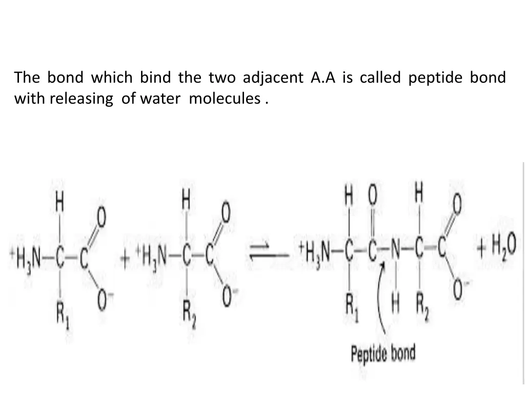 the bond which bind the two adjacent