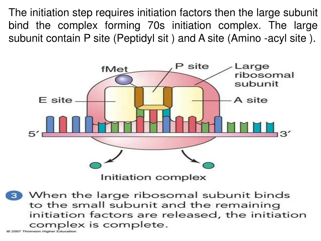 the initiation step requires initiation factors