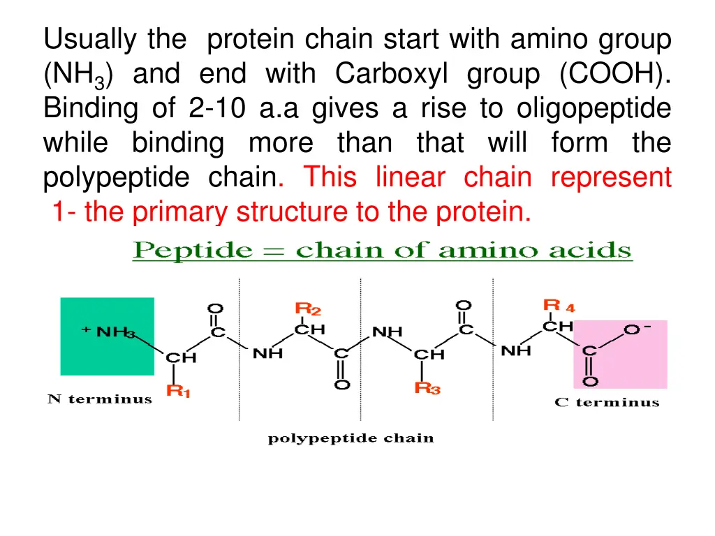 usually the protein chain start with amino group