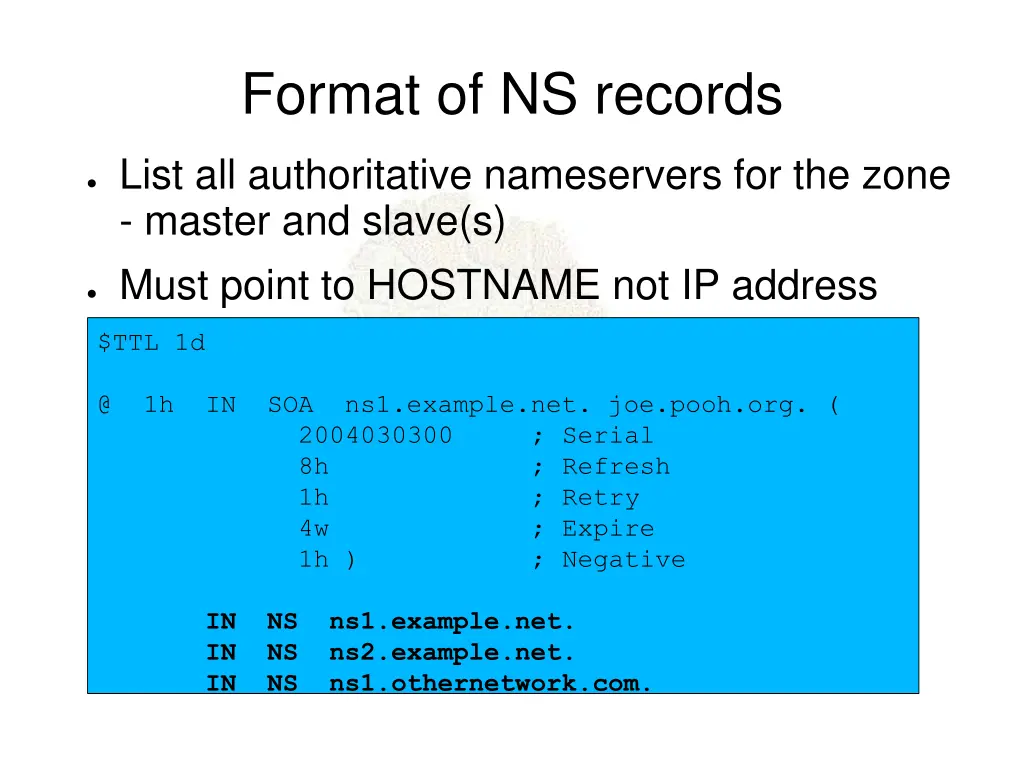 format of ns records