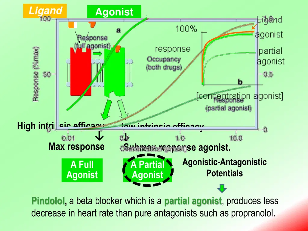 ligand