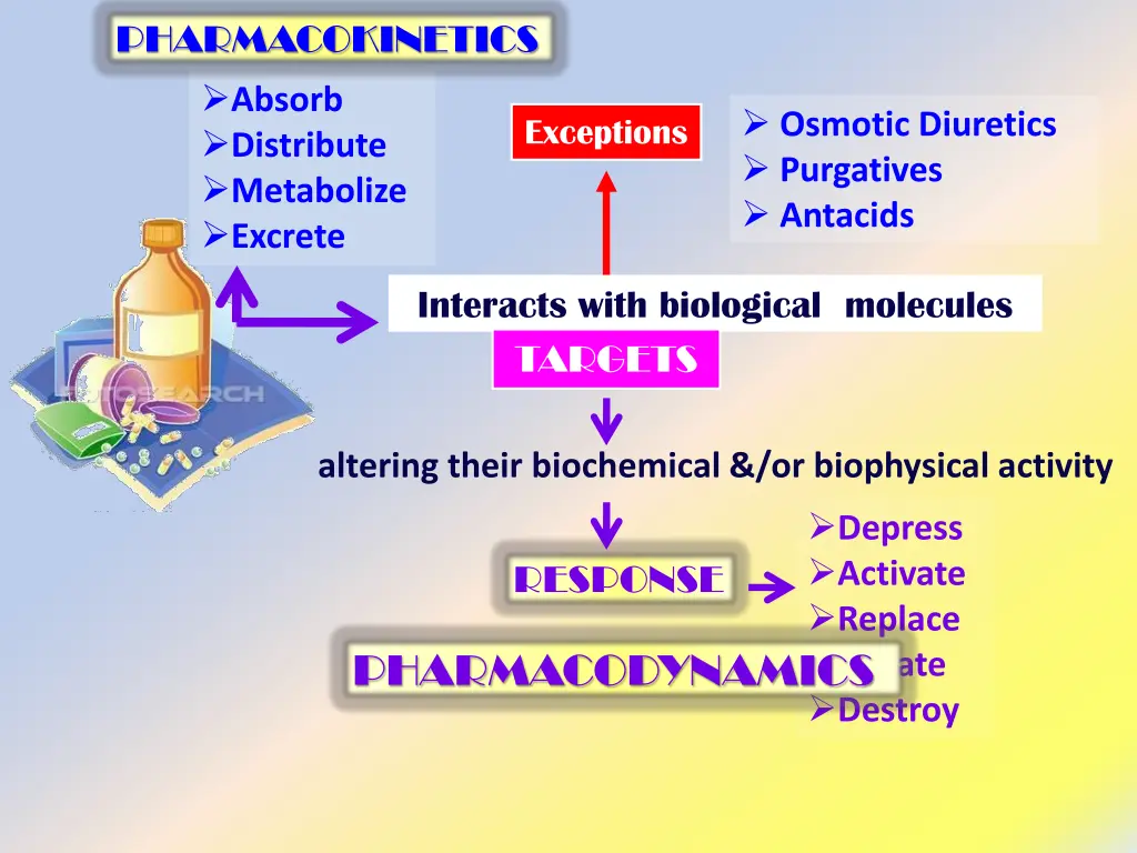 pharmacokinetics