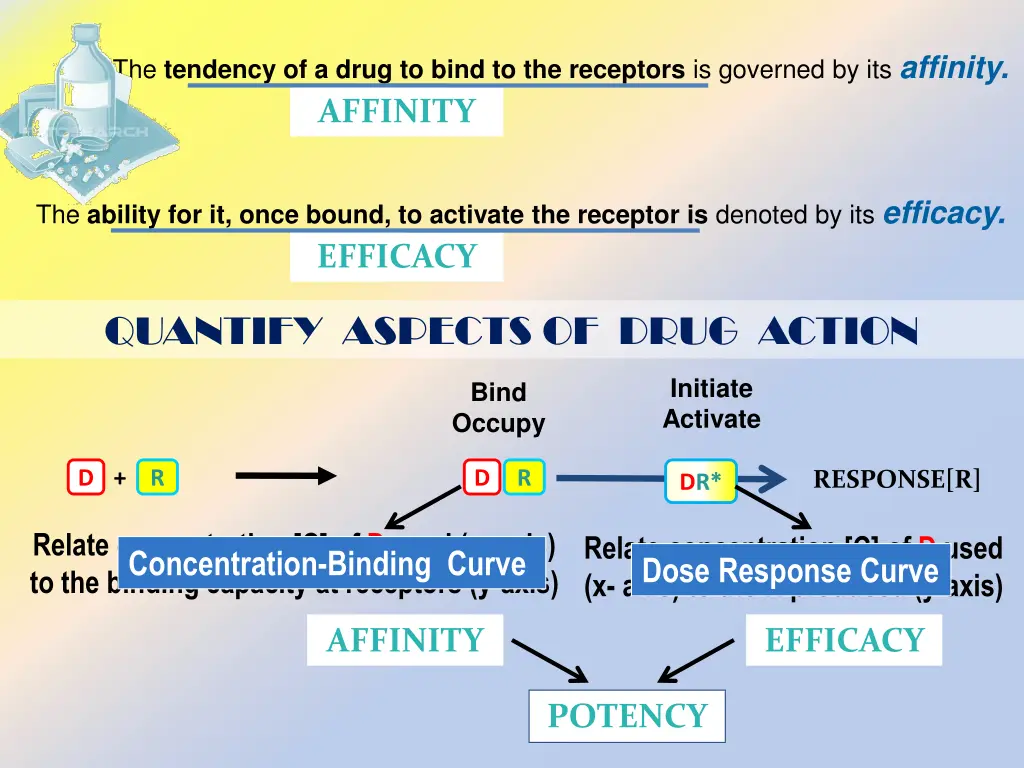 the tendency of a drug to bind to the receptors 1