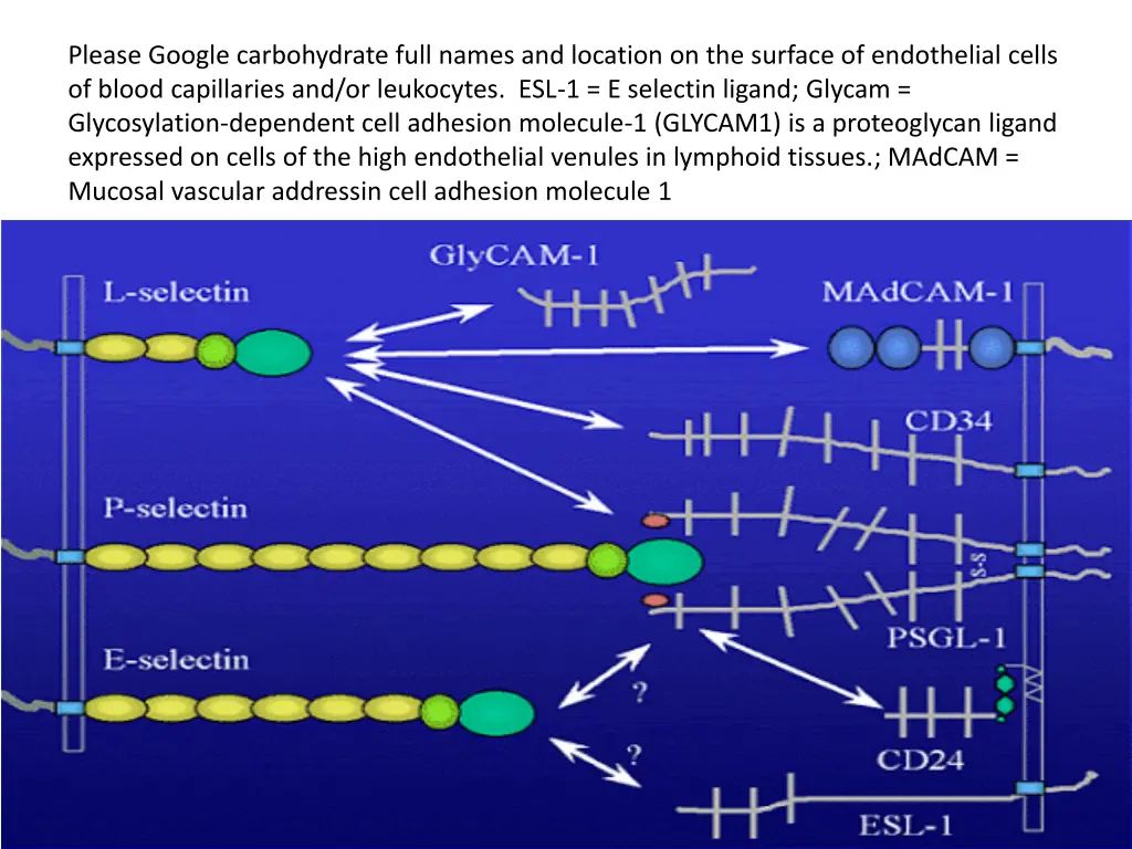 please google carbohydrate full names