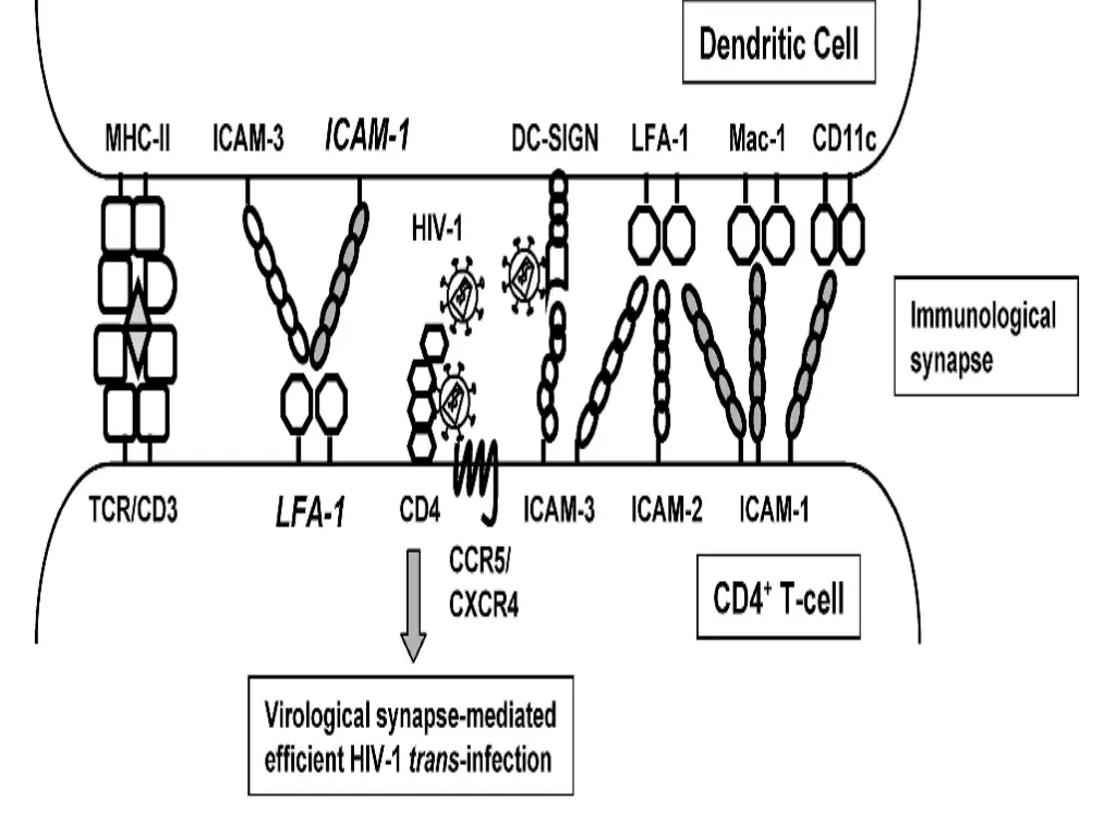 slide12