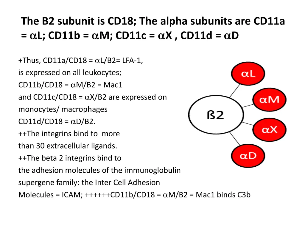 the b2 subunit is cd18 the alpha subunits