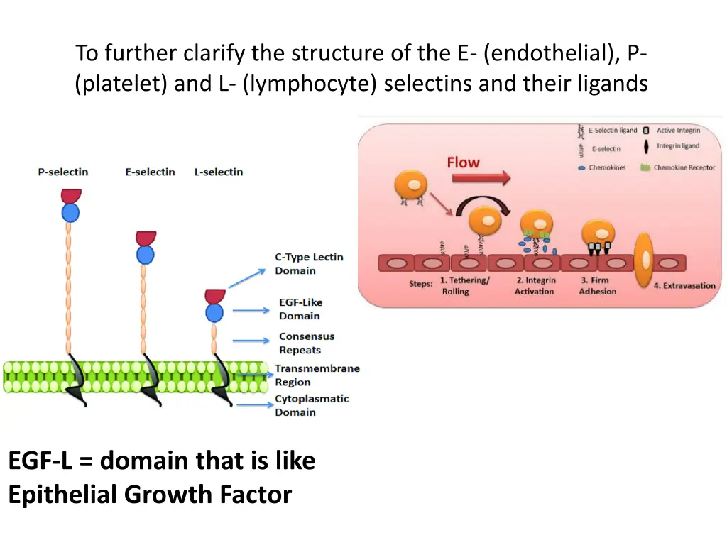 to further clarify the structure