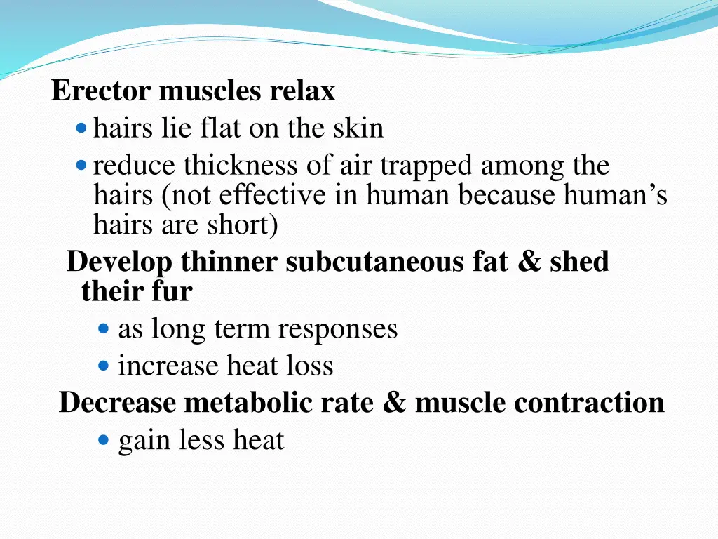 erector muscles relax hairs lie flat on the skin